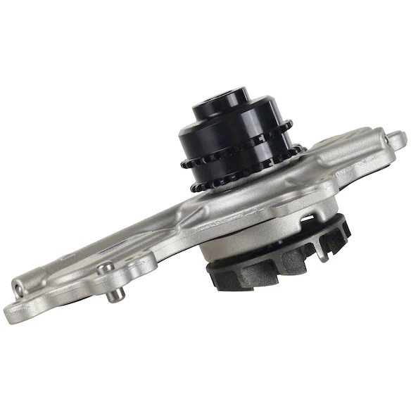 728508.jpg
