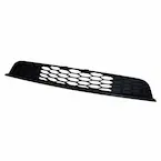 Bumper Grille - Front Main Image