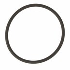 Fuel Pump Gasket Seal - 1.5L Main Image