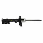 Suspension Strut Shock Absorber - Right, Front Main Image