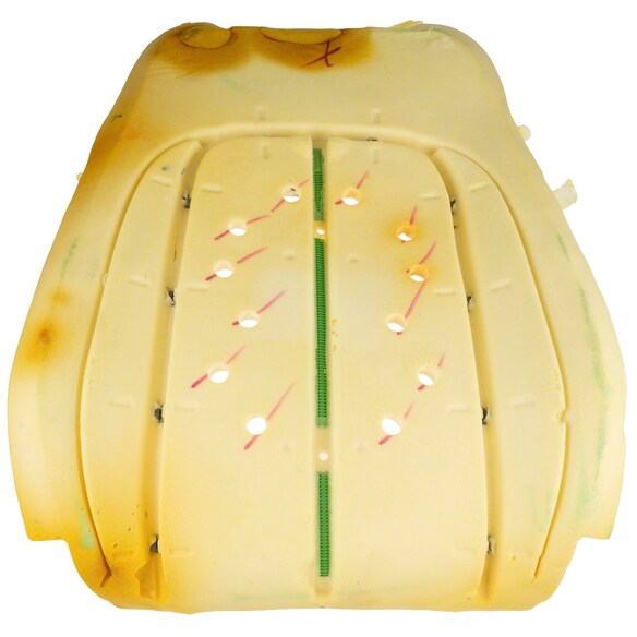 Seat Back Cushion Pad - Right, Front Main Image