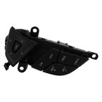 Cruise Control Switch - Left Main Image
