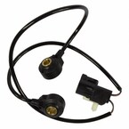 Ignition Knock (Detonation) Sensor Engine - 4.6L Main Image