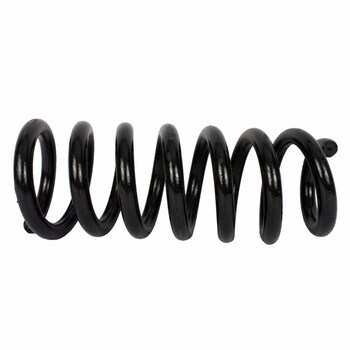 Coil Spring - Rear