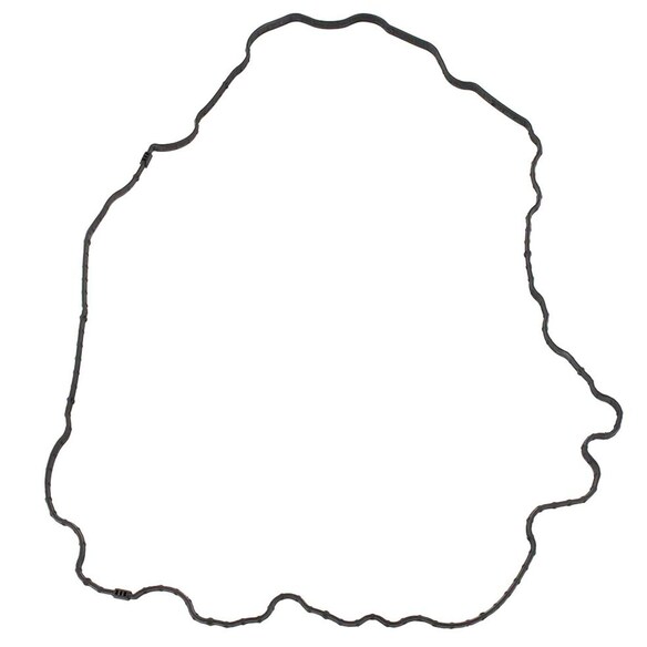 Engine Oil Pan Gasket Main Image