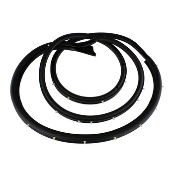 Door Seal Window Weatherstrip - Left, Front