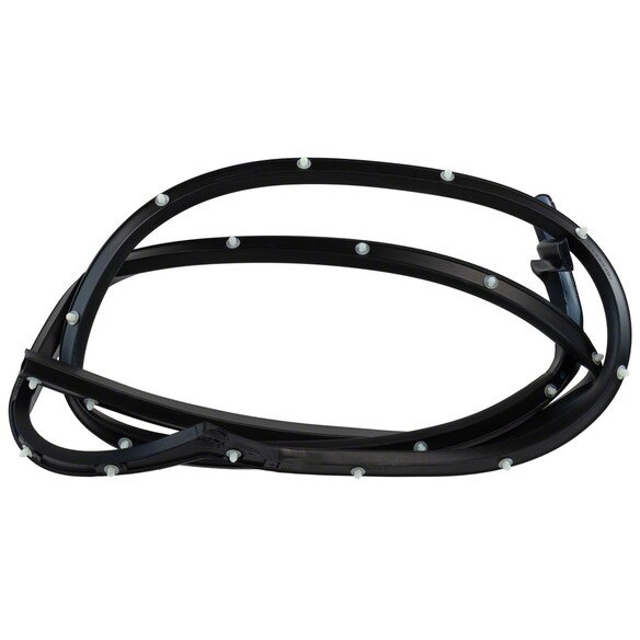 Roof Panel Weatherstrip Door - Right Main Image