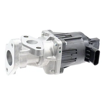 Exhaust Gas Recirculation (EGR) Valve