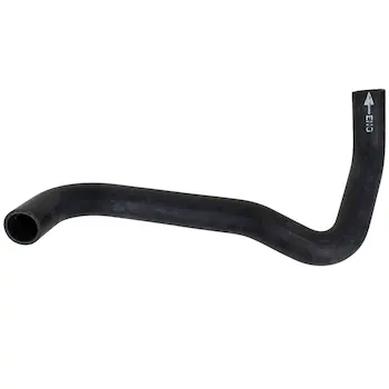 Radiator Coolant Hose - 4.0L