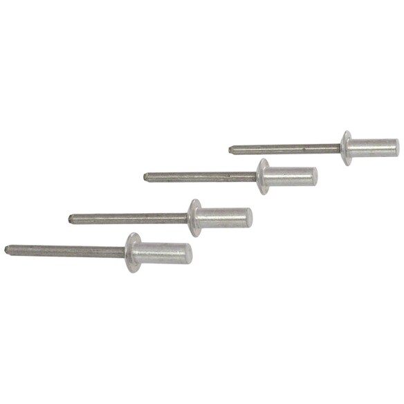 Rivet (GT) Main Image