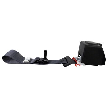 Seat Belt - Rear