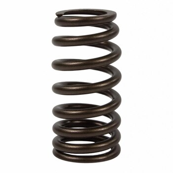 Engine Valve Spring - 3.3L