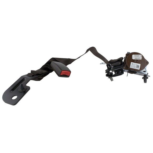 Seat Belt Lap and Shoulder - Rear, Center Main Image