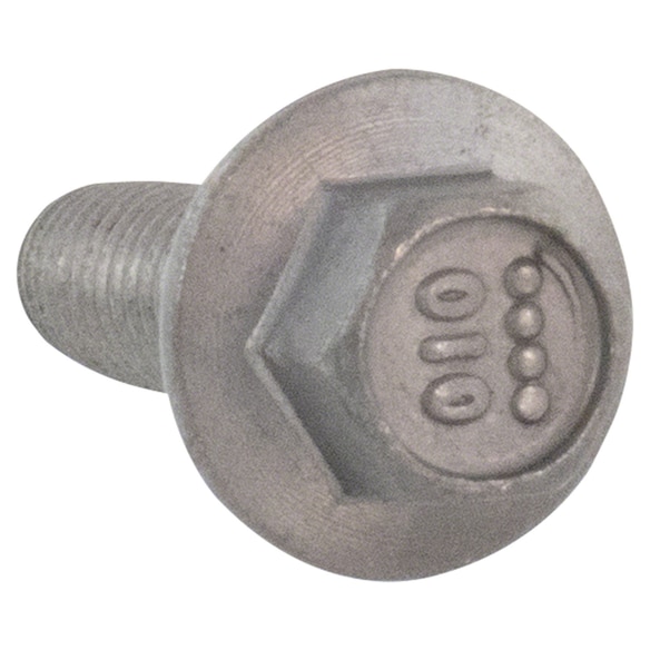 419539.jpg