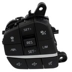 Cruise Control Switch Main Image