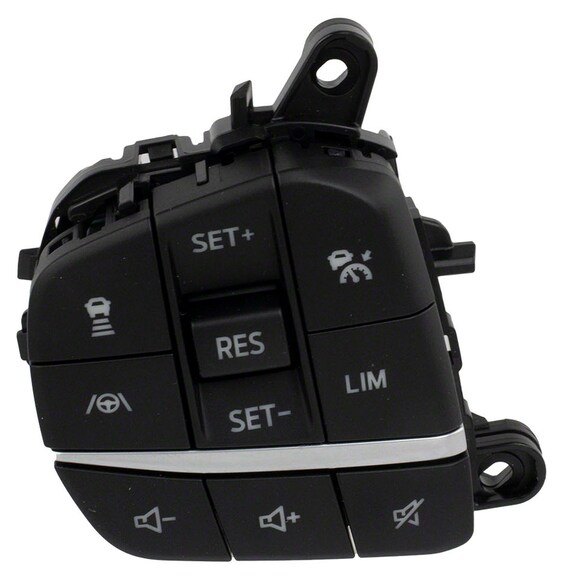 Cruise Control Switch Main Image