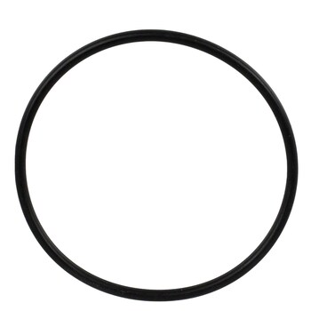 Sealing Ring - Rear 23