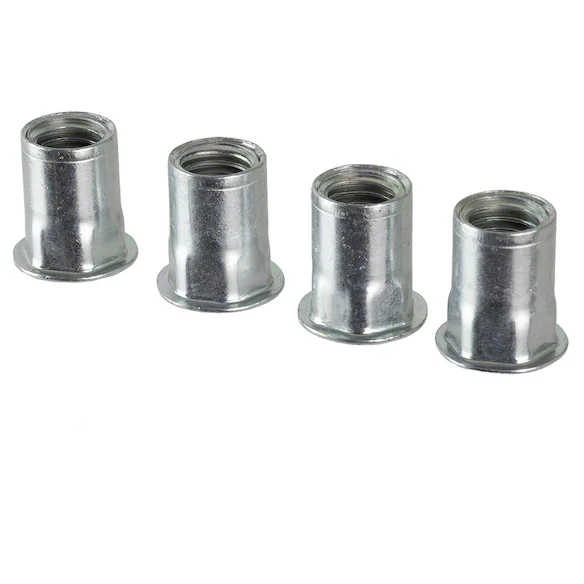 559545.jpg