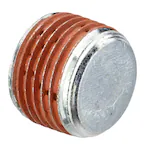 589545.jpg