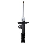Suspension Strut Shock Absorber - Right, Front 8 X 18" Main Image