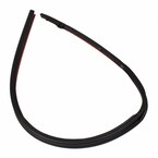 Roof Panel Weatherstrip - Left, Front Main Image