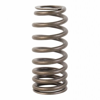 Engine Valve Spring - 3.5L.