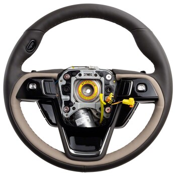 Sandstone Wheel Steering (Active Steering)
