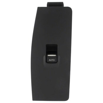 Door Switch Trim Panel (SE)