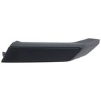 Door Panel Handle Cover Access - Right, Rear (Big Bend) Main Image