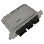 50556.jpg