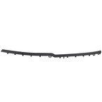 Bumper Trim Panel - Left, Front Main Image