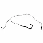 Radiator Coolant Hose - 1.6L Main Image