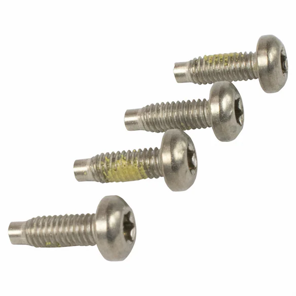 Mass Air Flow Sensor Screw Bolt - M4 x 10MM Main Image