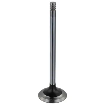 Valve Exhaust Valves - 6.2L