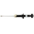 Shock Absorber - Rear Main Image