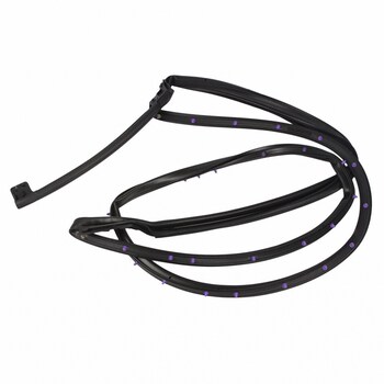 Door Seal Weatherstrip - Right, Rear