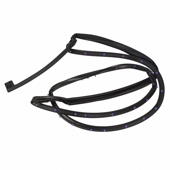 Door Seal Weatherstrip - Right, Rear Main Image