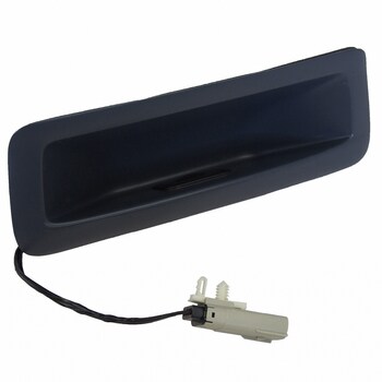 Liftgate Latch Handle Molding