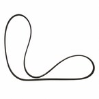 Serpentine Belt - 2.3L Main Image