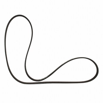 Serpentine Belt - 2.3L