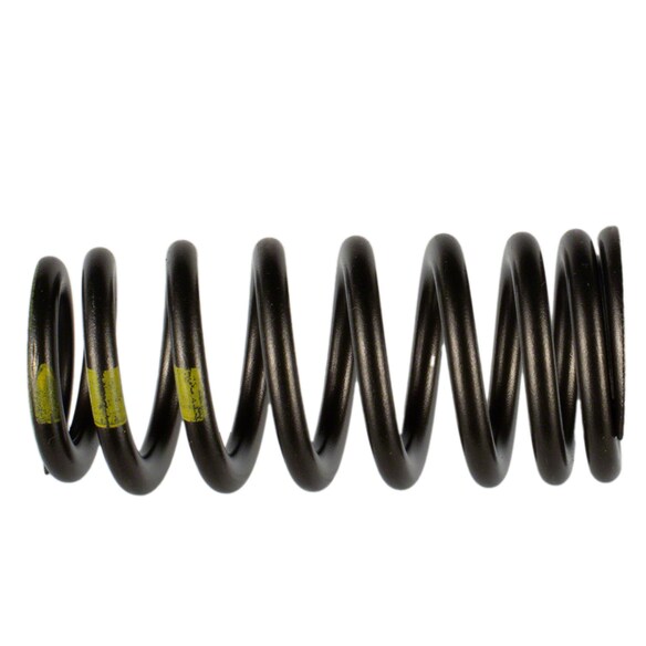 Engine Valve Spring Main Image