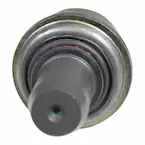 136572.jpg