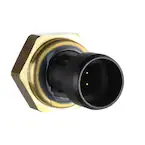 503572.jpg