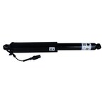 Suspension Shock Absorber - Rear Main Image