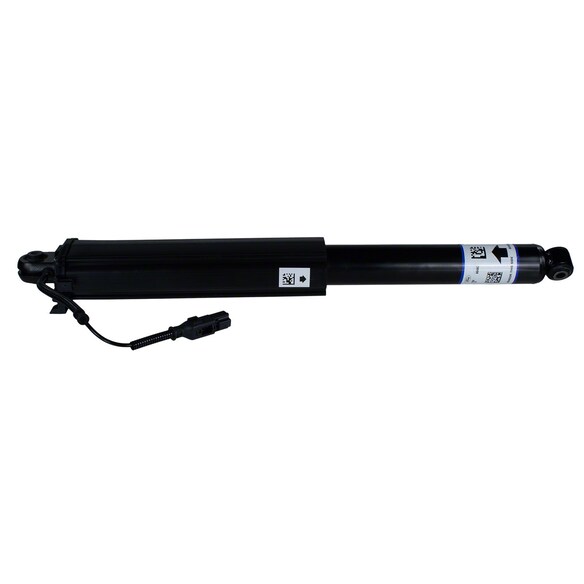 Suspension Shock Absorber - Rear Main Image
