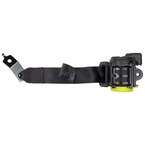 Seat Belt - Rear, Center Main Image