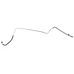 569574.jpg