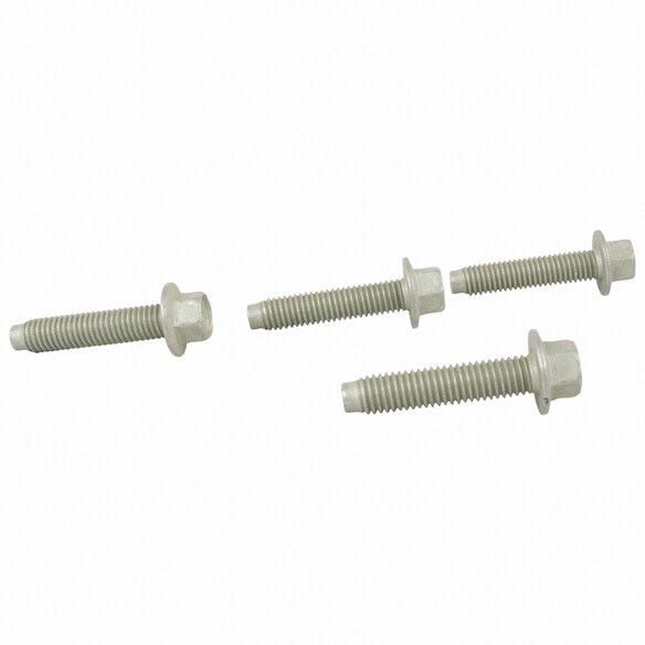 Bolt Main Image