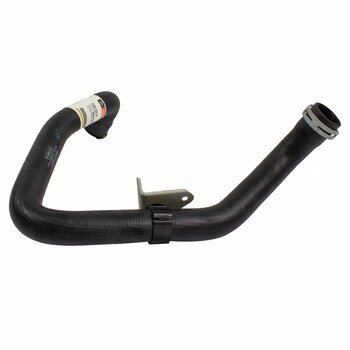 Radiator Coolant Hose - Upper (AT)