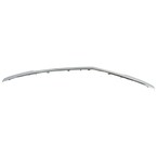 Deck Lid Molding Tailgate Handle Main Image